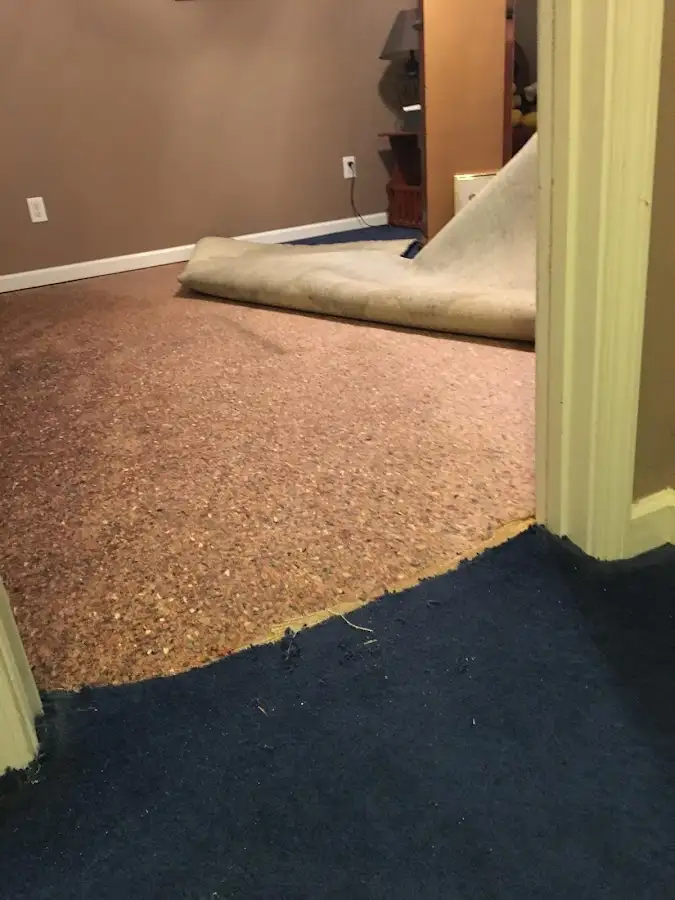 Carpet pad removal revealing water damage during Drying & Dehumidification in Woodside